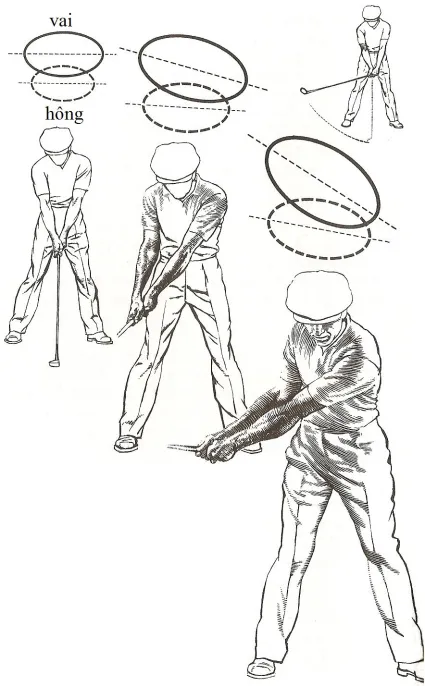 Mức xoay tương đối của vai và hông tại từng giai đoạn của backswing.